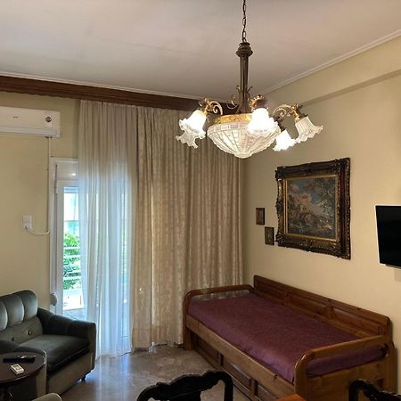 Theoni Central Apartment Kalampáka Dış mekan fotoğraf