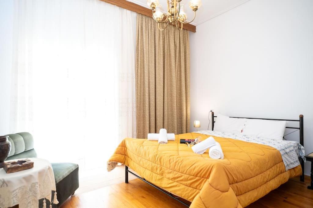 Theoni Central Apartment Kalampáka Dış mekan fotoğraf