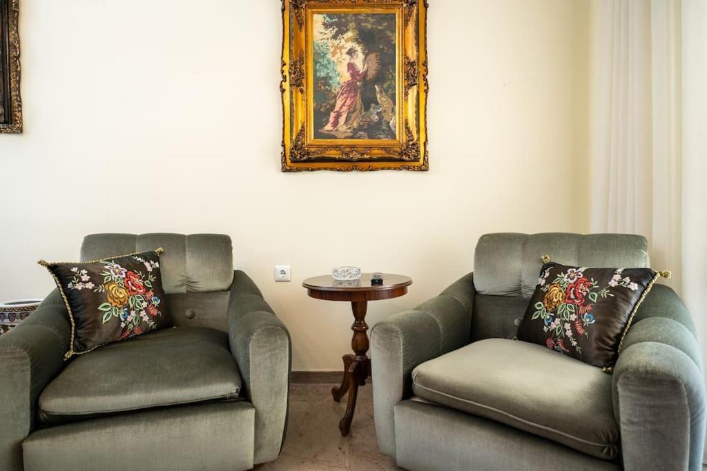 Theoni Central Apartment Kalampáka Dış mekan fotoğraf