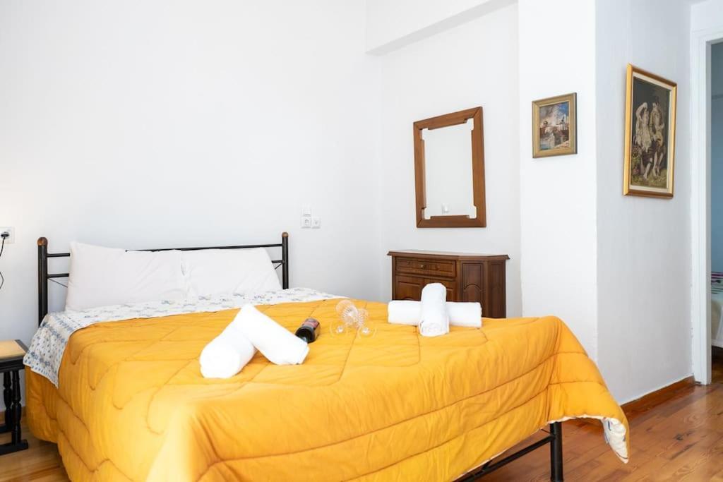 Theoni Central Apartment Kalampáka Dış mekan fotoğraf