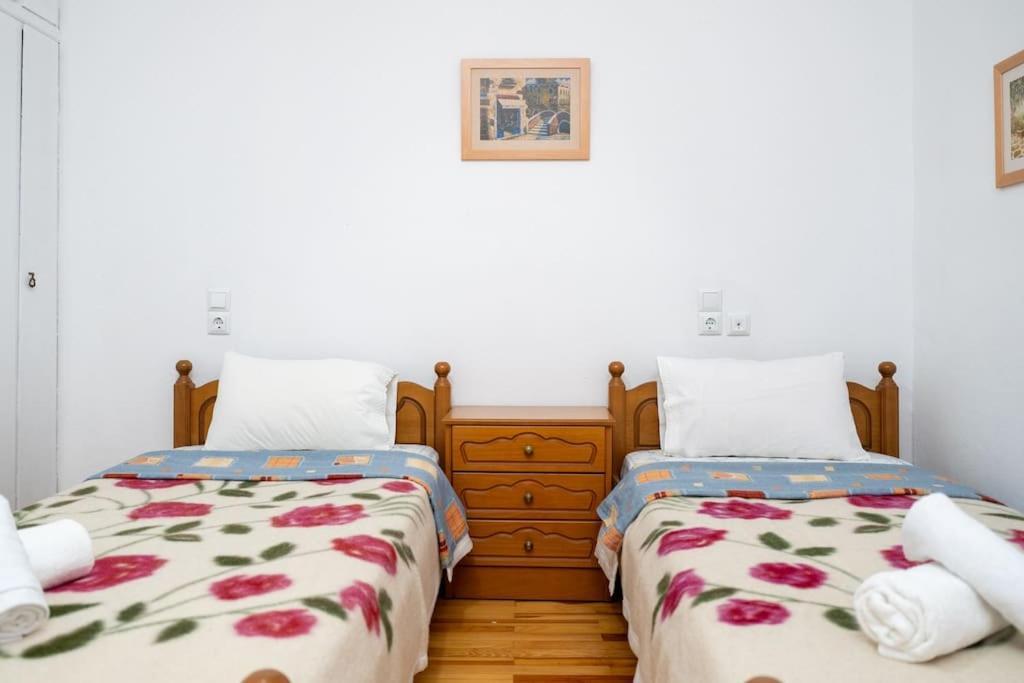 Theoni Central Apartment Kalampáka Dış mekan fotoğraf