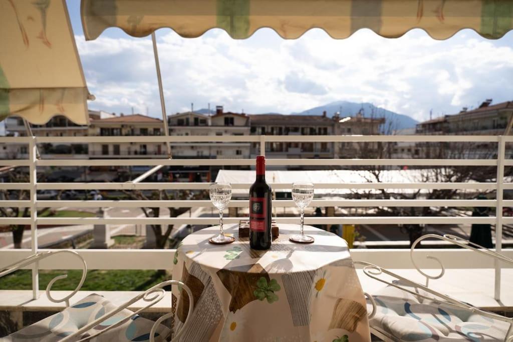 Theoni Central Apartment Kalampáka Dış mekan fotoğraf