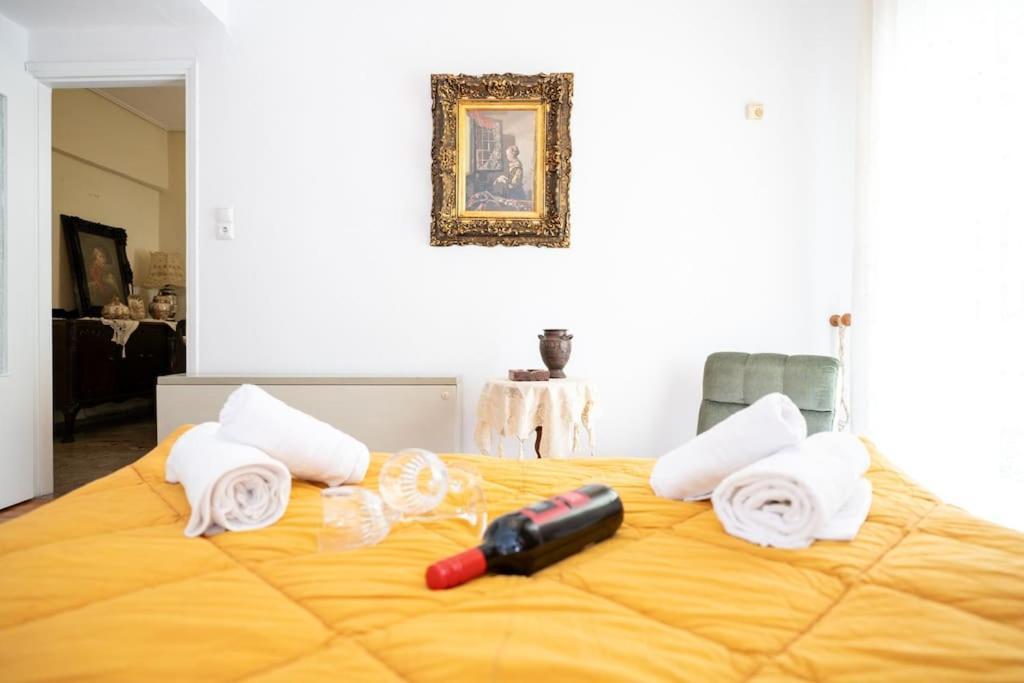 Theoni Central Apartment Kalampáka Dış mekan fotoğraf